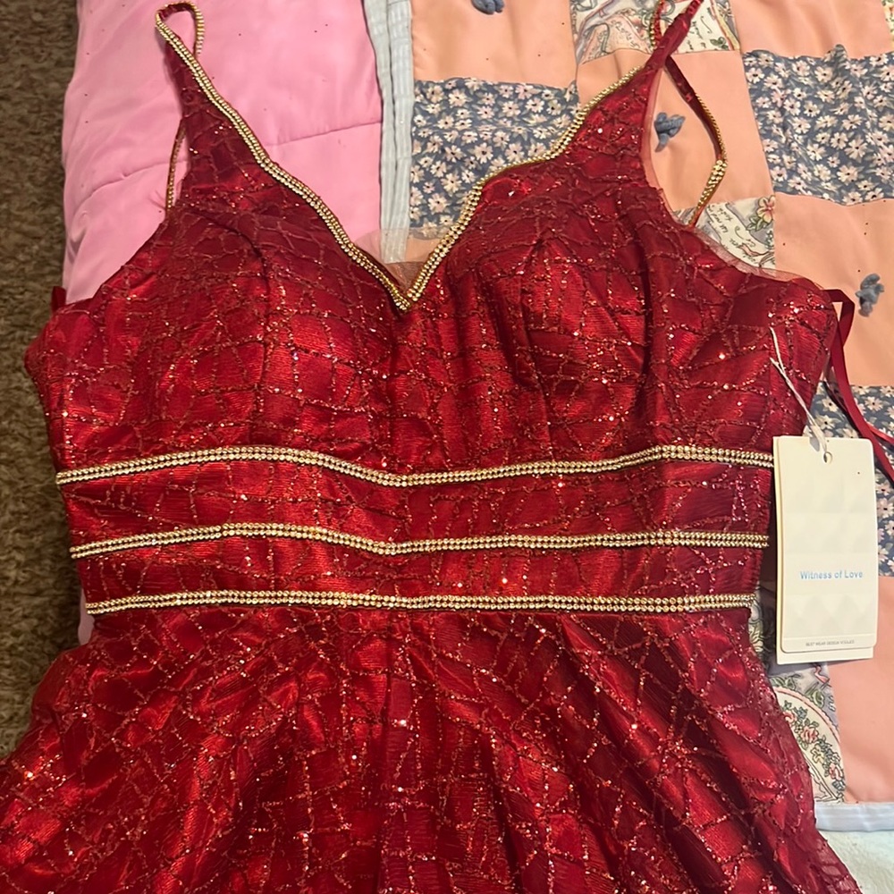 Brand New Witness of Love size 8 dress